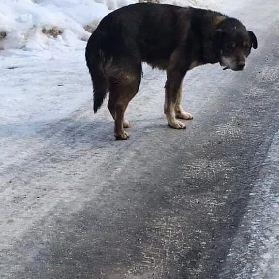 Наш Рэй, когда жил на улице