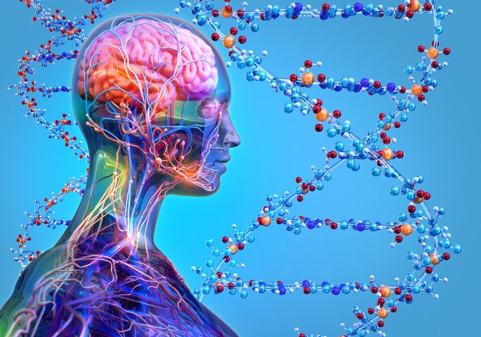     Половина ДНК человека – вирусная.  Shutterstock