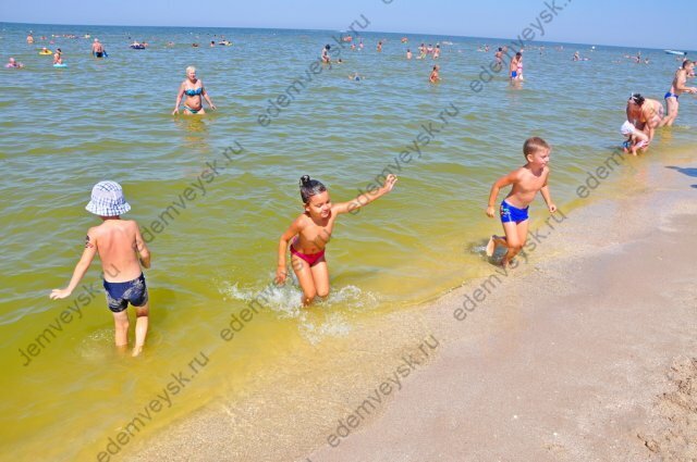 Добавьте описание
