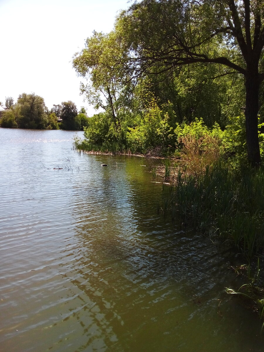 Фото  автора