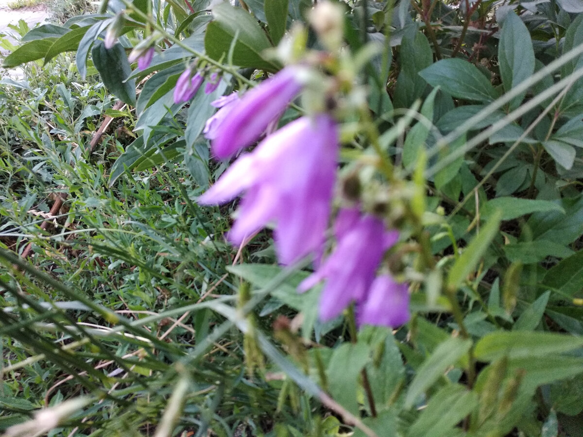 Добрый день!