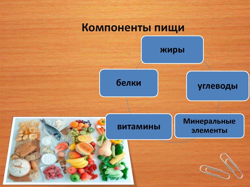 Белки жиры углеводы схема