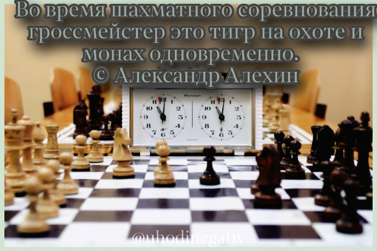 20 июля. Международный день торта. Праздник губашлёпов. Авдотья сеногнойка.  И не только. | Уходи, Негатив! | Дзен