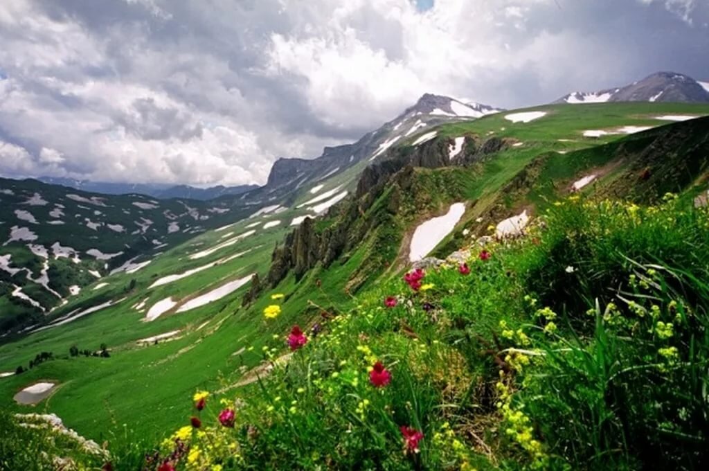 Плато Лаго Наки Альпийские Луга