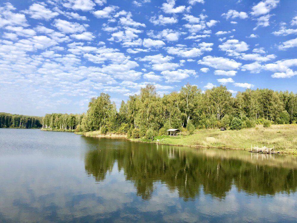 Кузнецовские пруды Орловская область. Природа Орловской области. Пруды и озеро в Шаблыкино Орловской области. Кузнецовский пруд в Орловской.