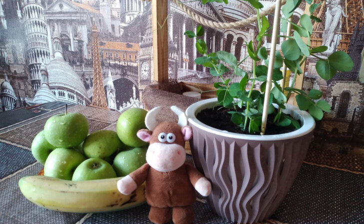    В Курской области откроют горячую линию по вопросам качества овощей