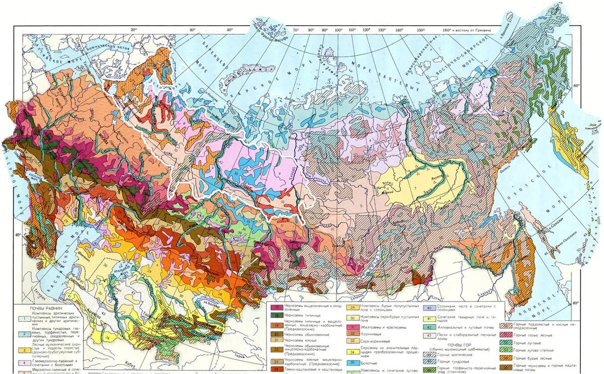 Зона распространения подзолистых почв выделена на карте белым контуром