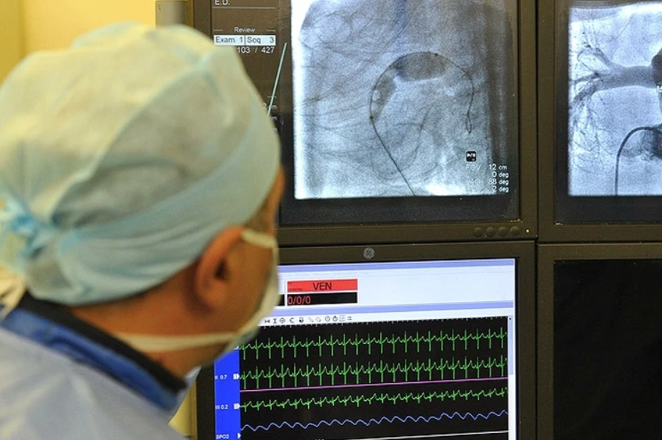 Фото: Pravda Komsomolskaya/www.globallookpress.com