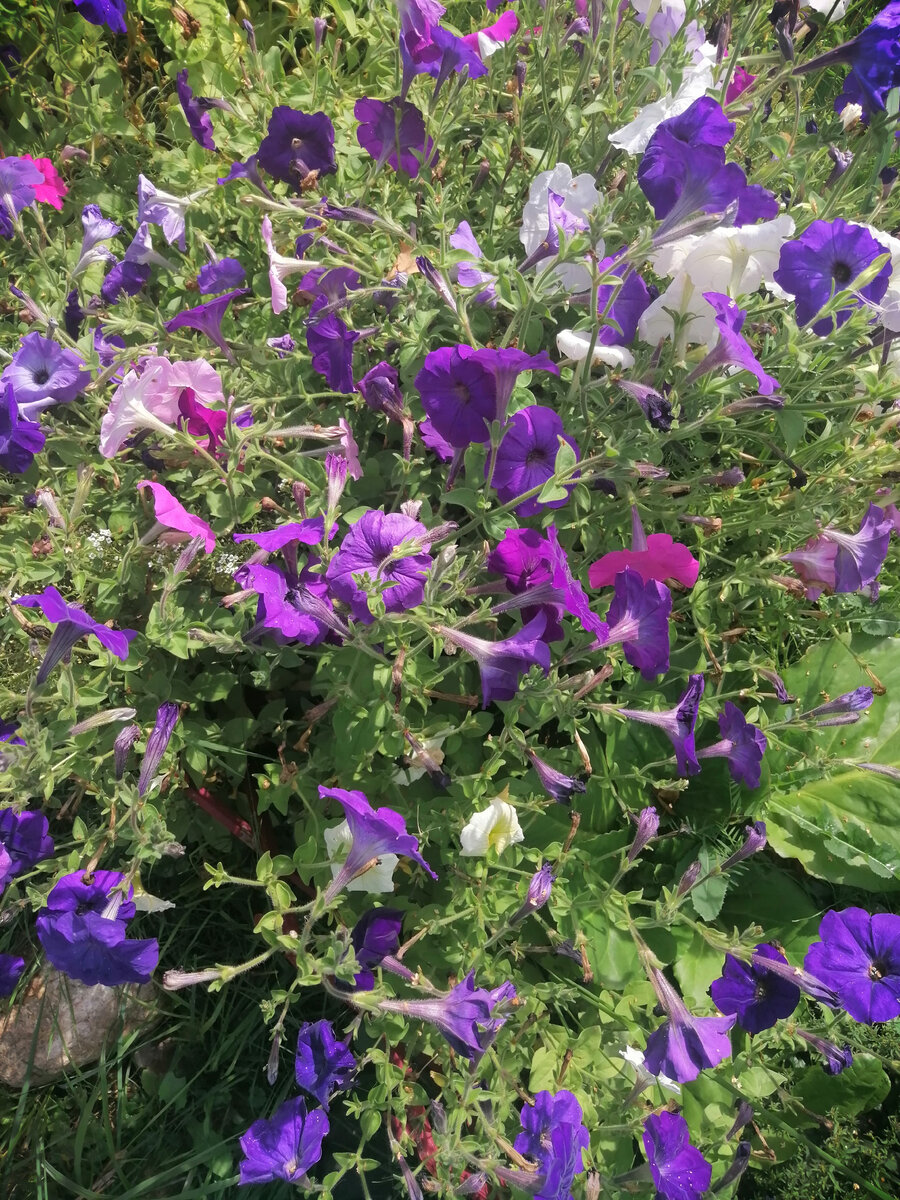 Фото от 19 августа 2022