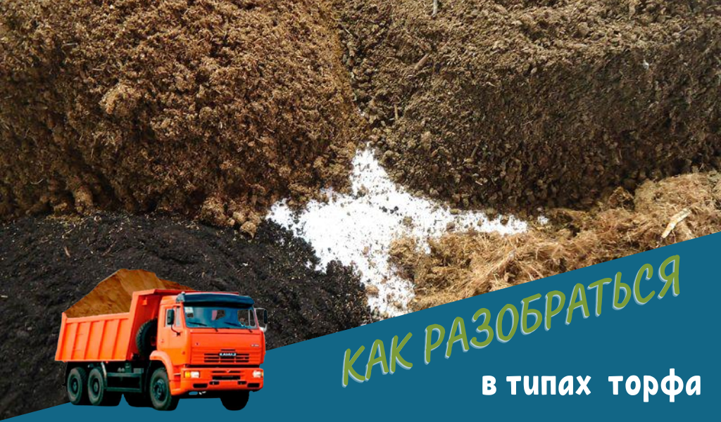 Торф торфяники. Торф верховой сфагновый. Торф Тверская область. Переходной торф. Торф низинный.