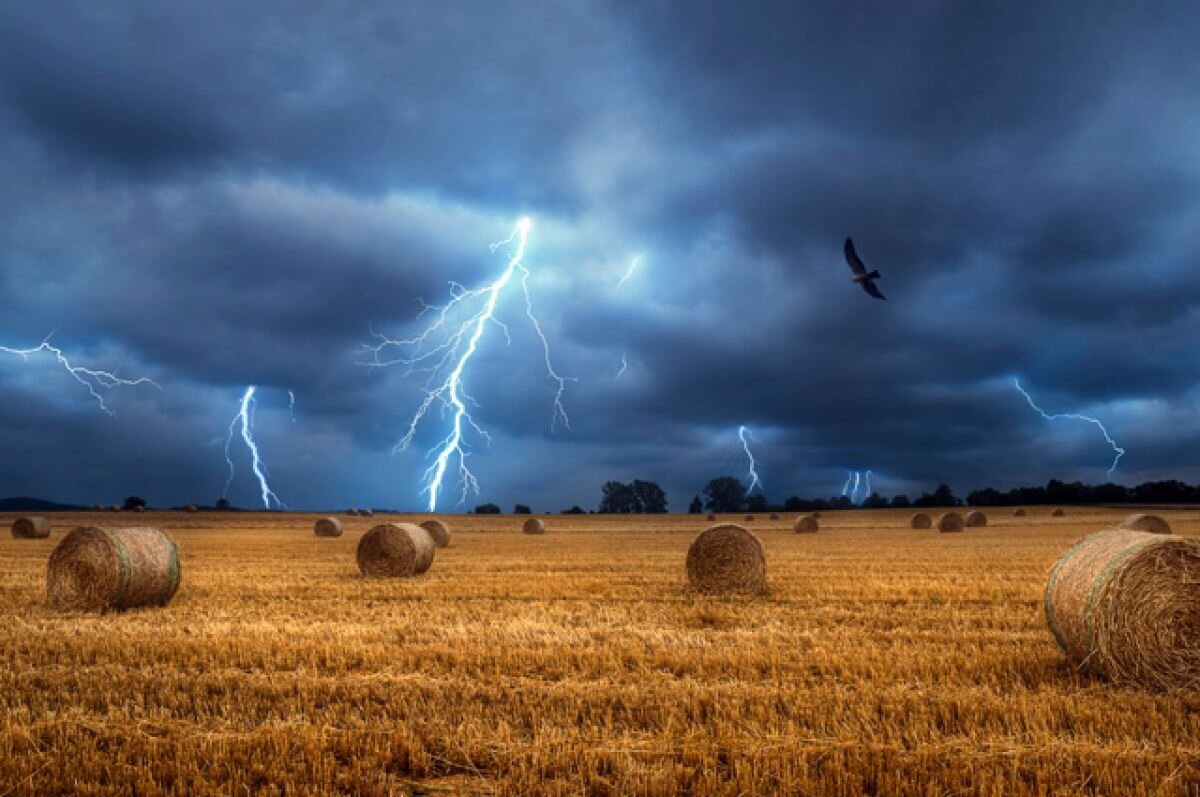    Зовите его Зевс. Невероятные истории выживших после удара молнии