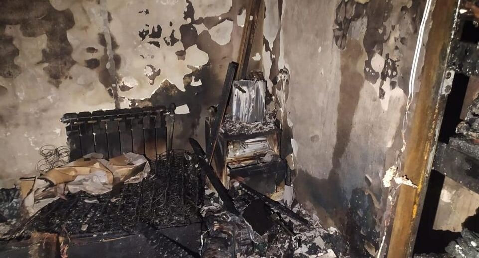     пресс-служба прокуратуры Московской области