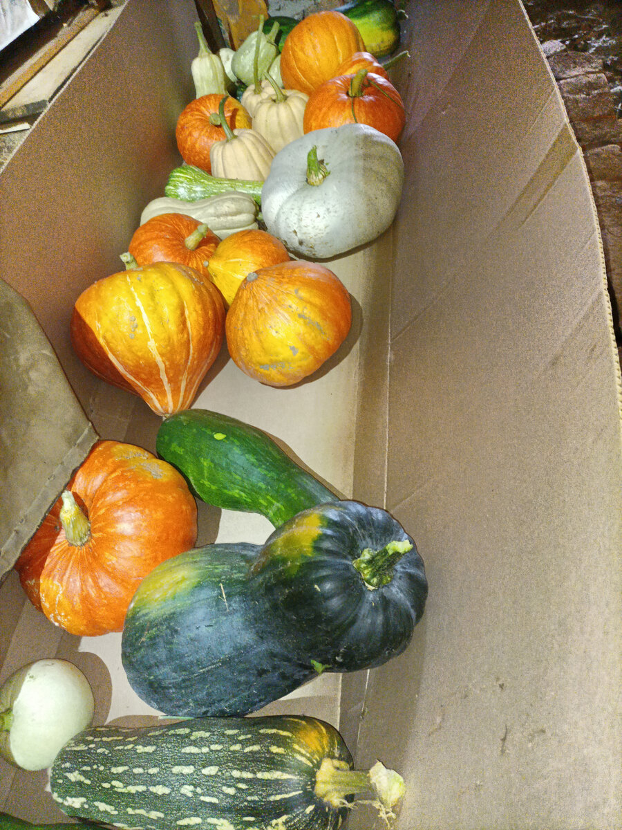 Весь урожай текущего года