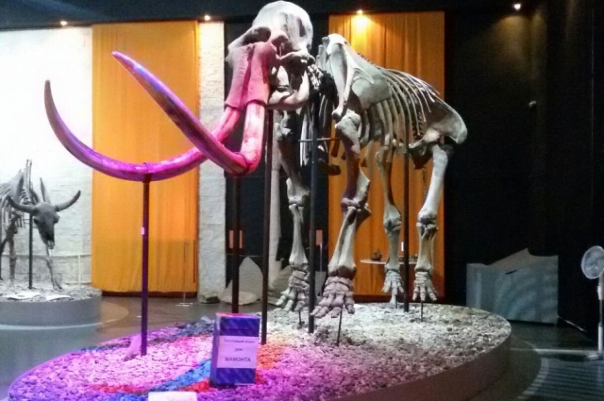    В честь 95-летия пермского мамонта в Музее древностей покажут шоу во тьме