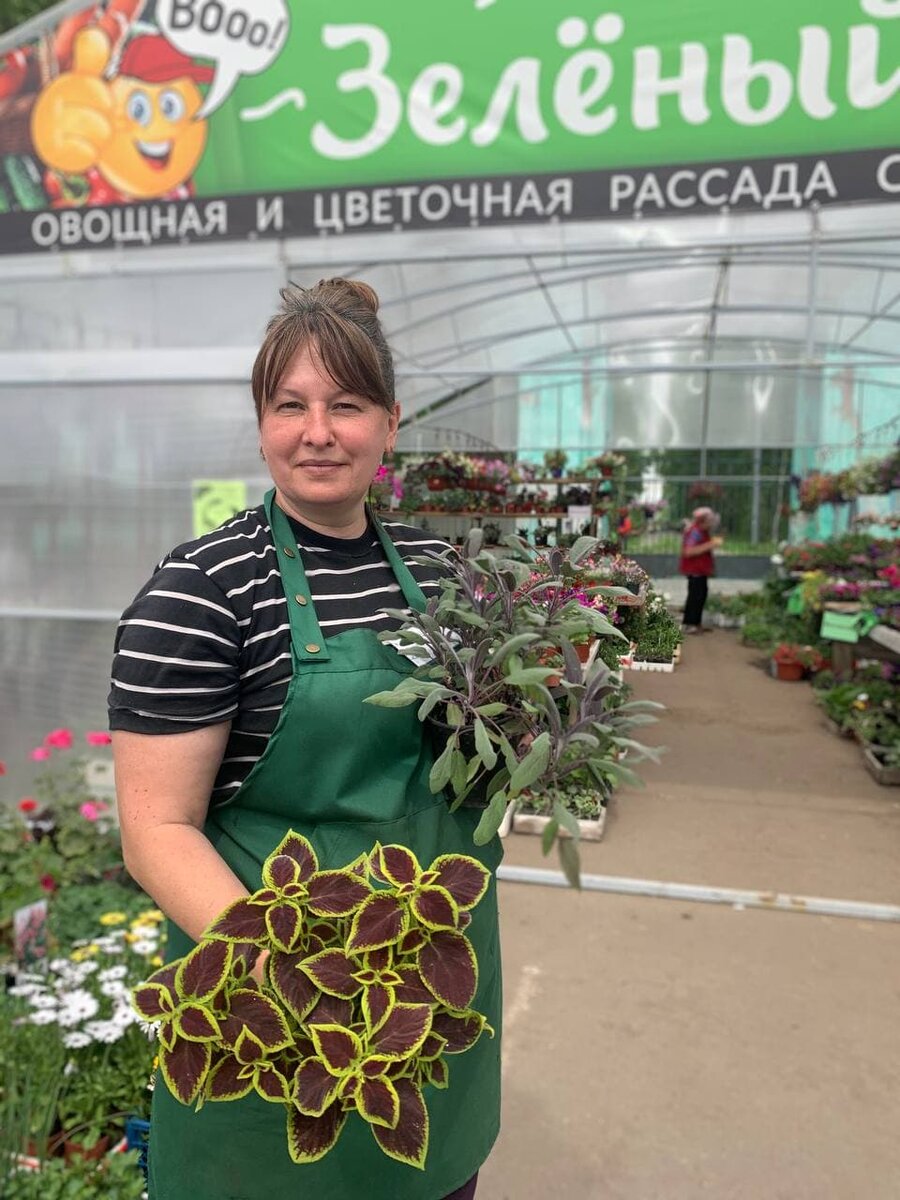 Открытая площадка продажи в г. Комсомольске-на-Амуре