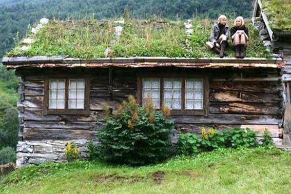 Скандинавская дерновая кровля