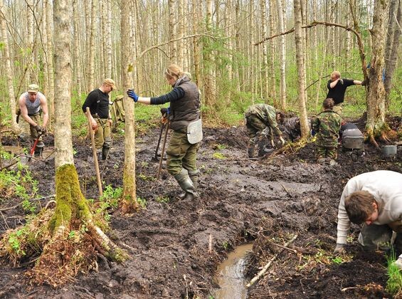    Поисковые работы Поисковое движение России
