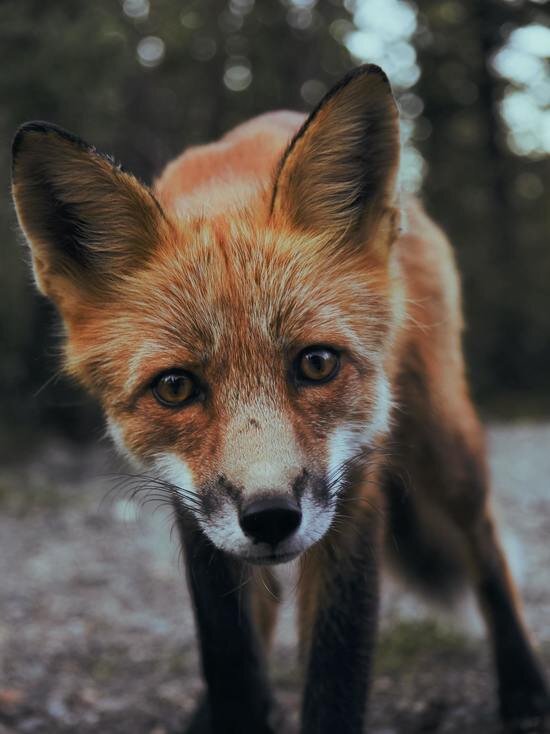     Фото unsplash.com