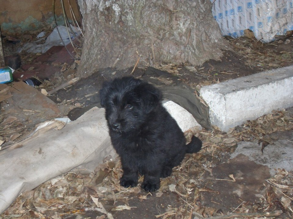     Фото Елены Федяшевой  из архива «КП»