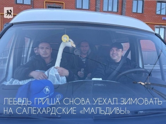     Фото: Медиацентр «Салехард»
