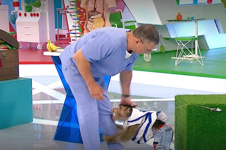    На доктора Мясникова напала обезьянаКадр из видео