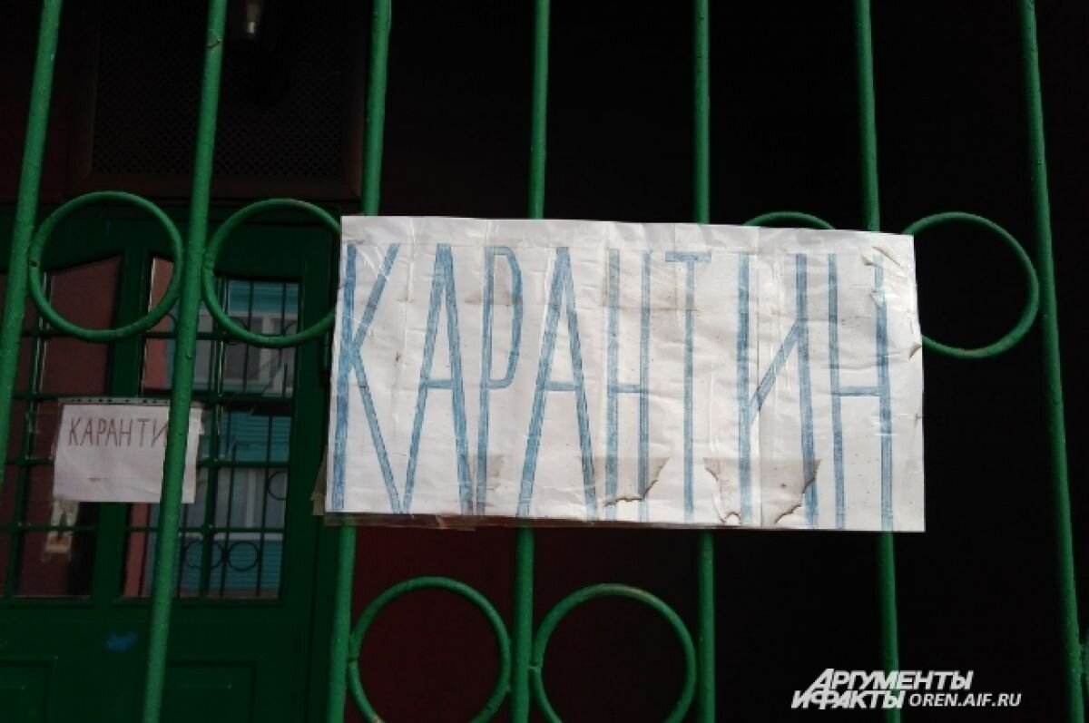    На карантин закрыты 2,6% садиков и школ Нижегородской области