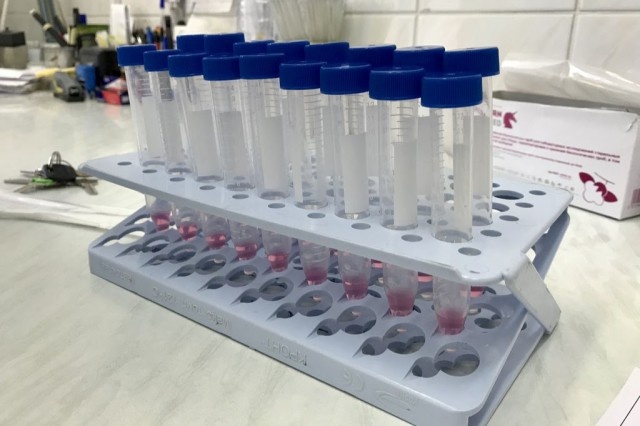   Фото: Роспотребнадзор