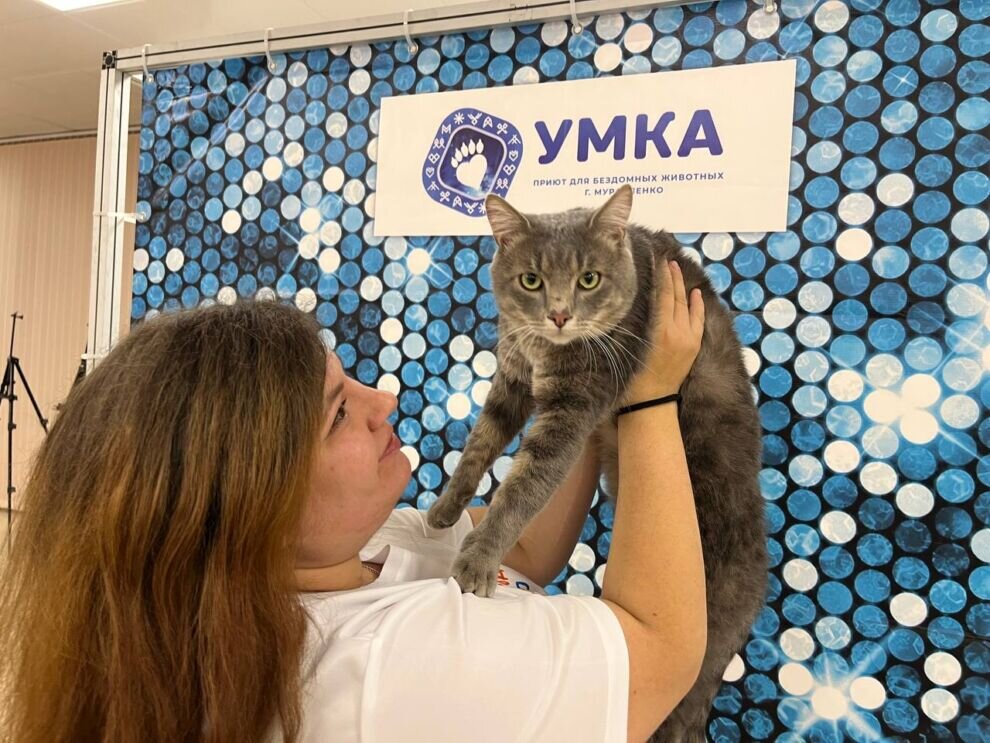    Новости ЯНАО: учитель физики из Нового Уренгоя стал лауреатом всероссийской премии, в регионе проходят встречи с семьями мобилизованных, в Муравленко провели выставку бездомных животных