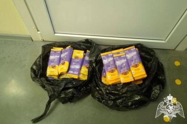 Источник фото: пресс-служба Росгвардии