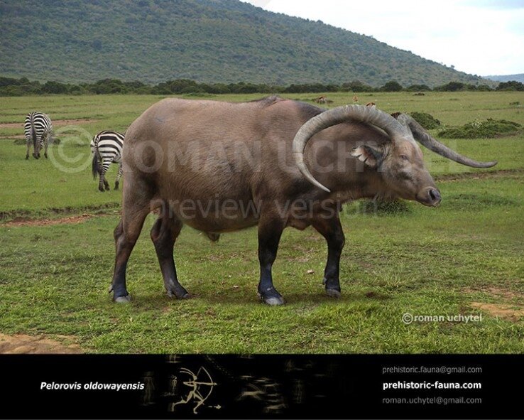 Молока не дам! По шапке дать могу.