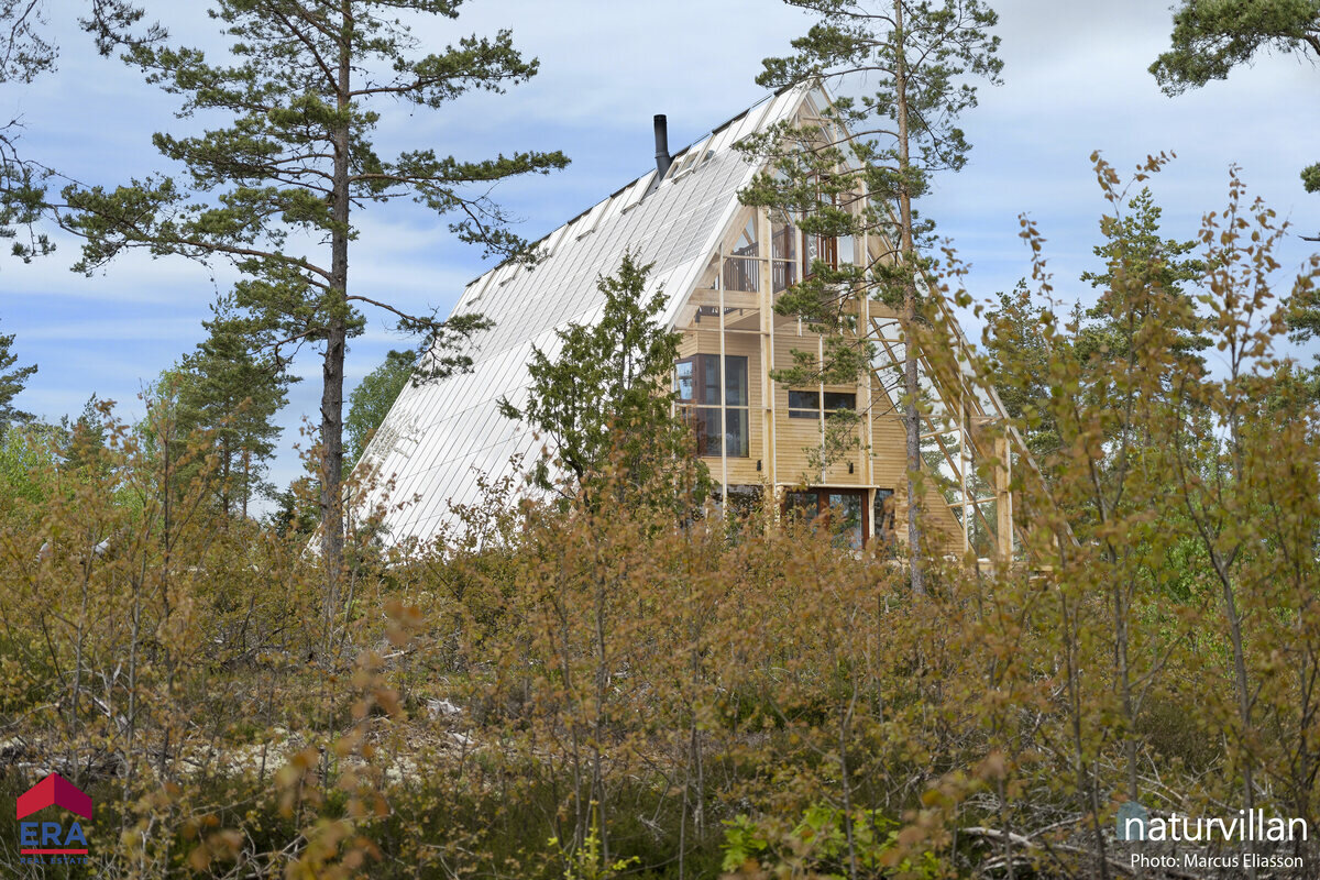 Источник изображения - https://cdn.thespaces.com/wp-content/uploads/2022/07/Sikhall-156_20.jpeg