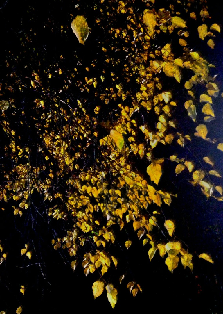 Юлия Черныш