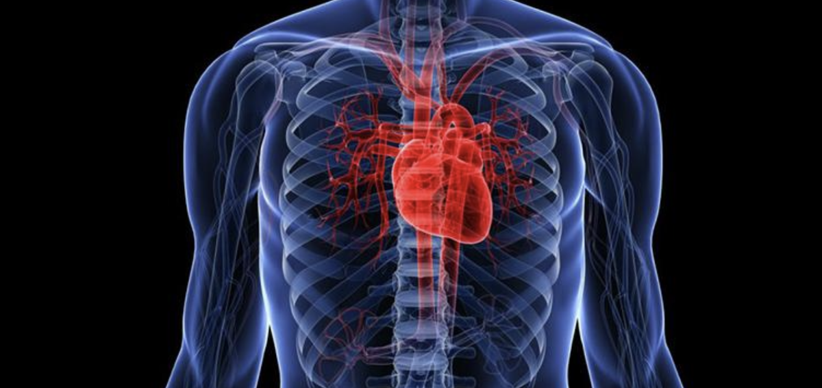 Недостаточная физическая активность повышает вероятность развития рака на 25%, диабета на 27%, а сердечно-сосудистых заболеваний на целых 30%!