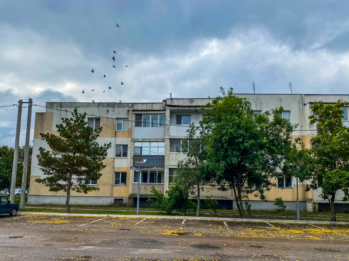 Новоаннинский. Небольшой городок Волгоградской области | Прекрасное рядом |  Дзен