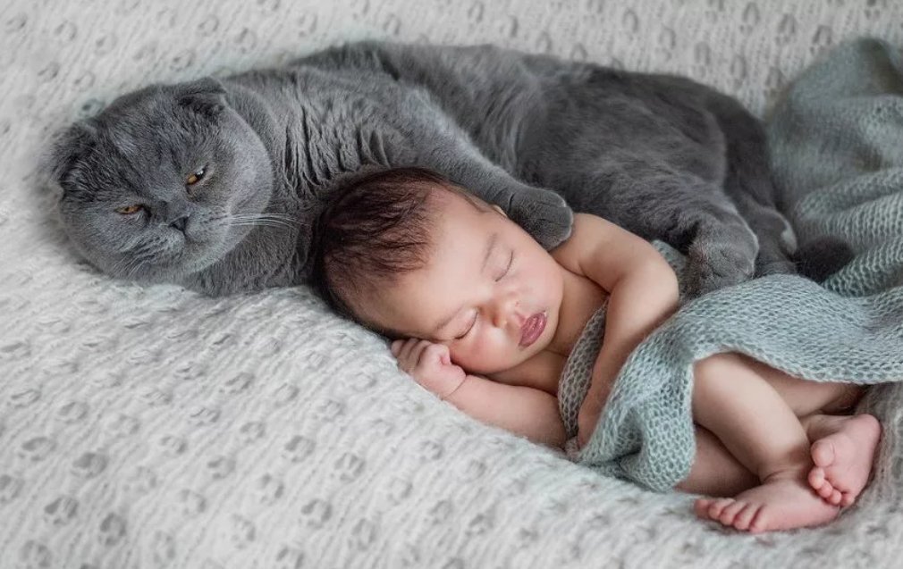 Кошка и ребенок