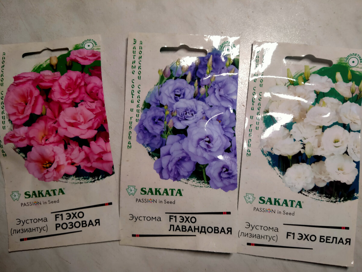 Мой выбор на 2022 год