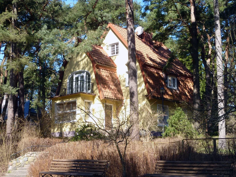 Фото из Интернет. 