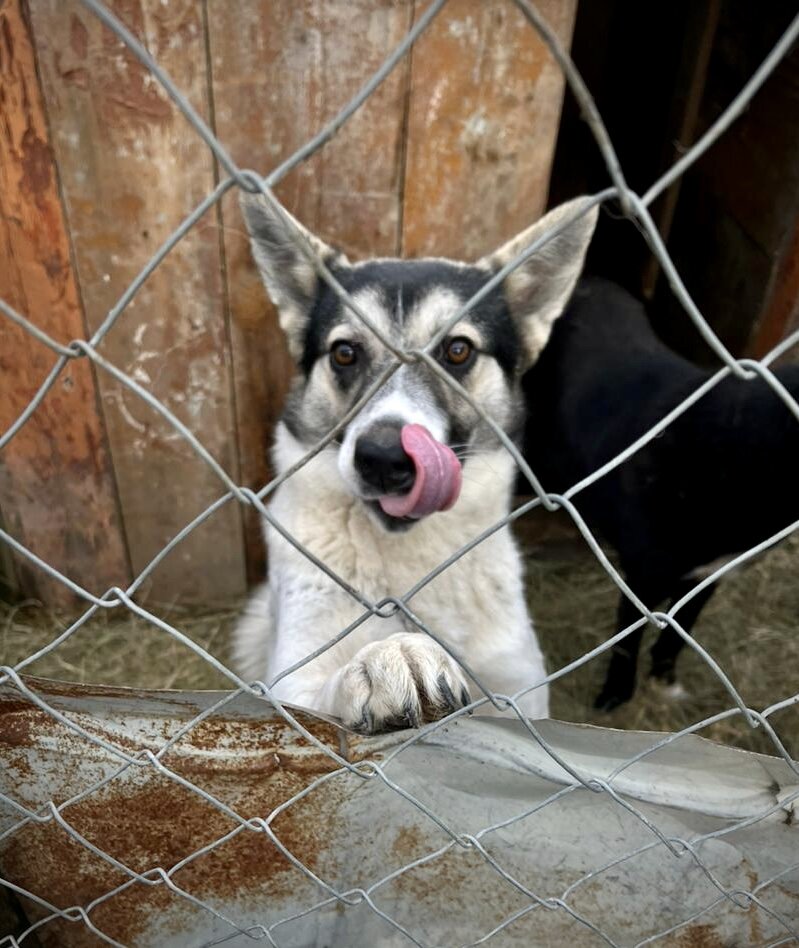 Милая наша Жуля🥰