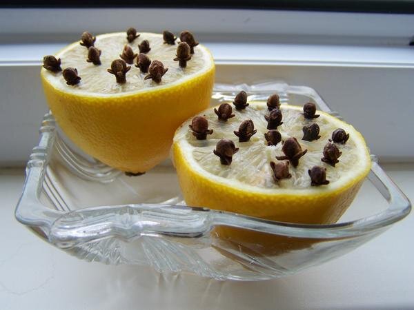 Биологическая бомба