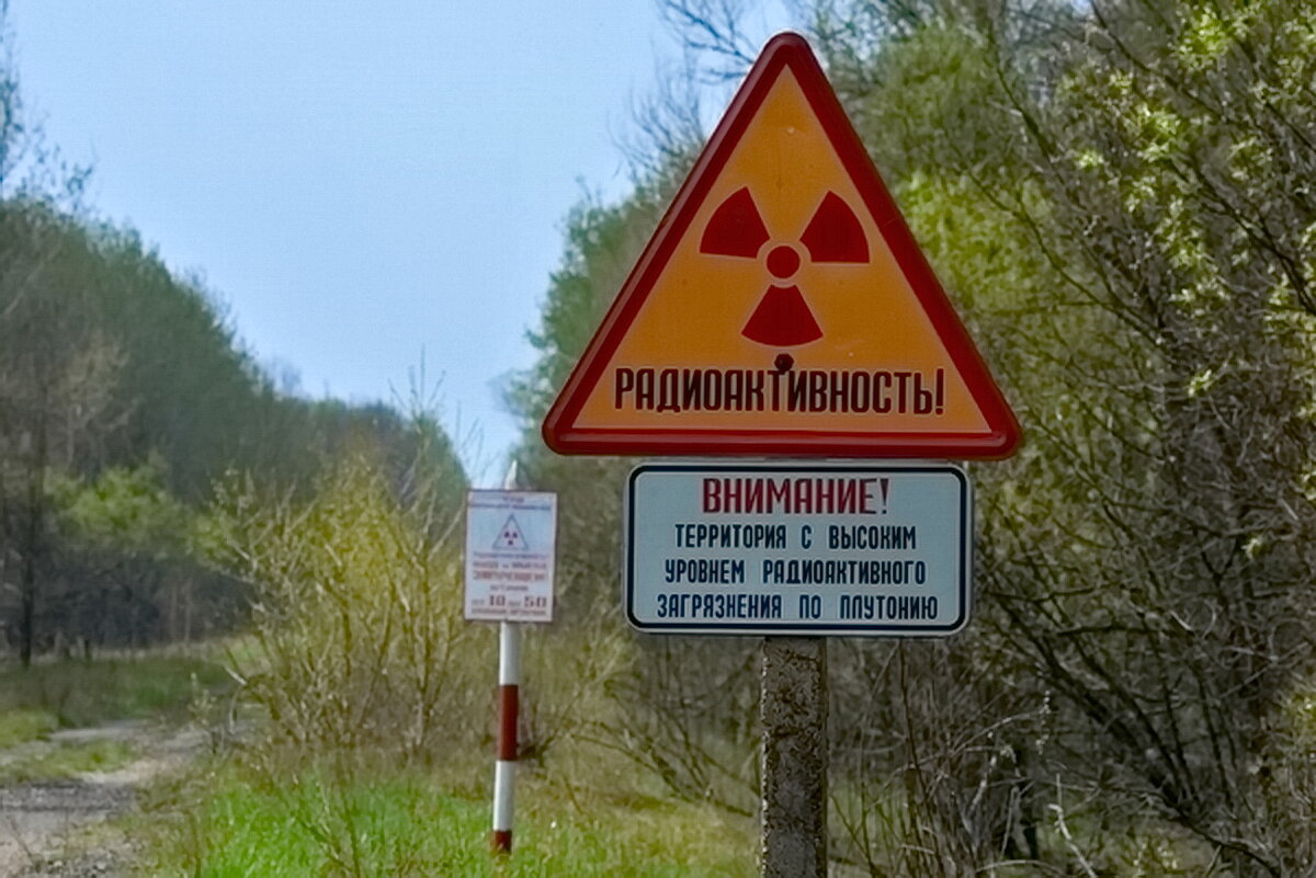 Чернобыльский радиационно-экологический заповедник
