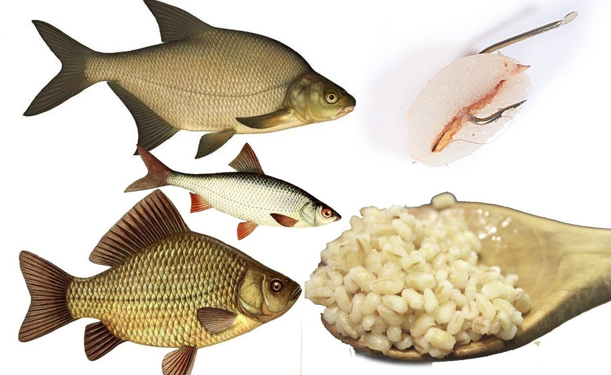 Фото с сайта: https://likewot.ru/wp-content