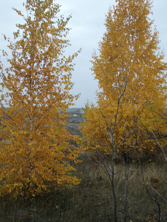 Фото автора канала