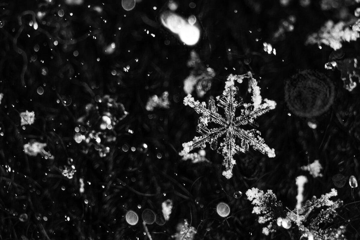     Миф или факт: одинаковых снежинок не существует