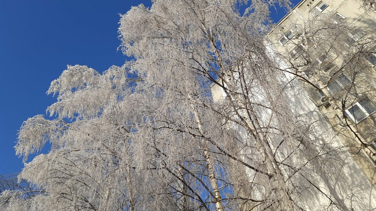     Резкое похолодание ожидается в Нижнем Новгороде в ночь с 5 на 6 января. Данные приведены на сервисе «Яндекс.Погода».