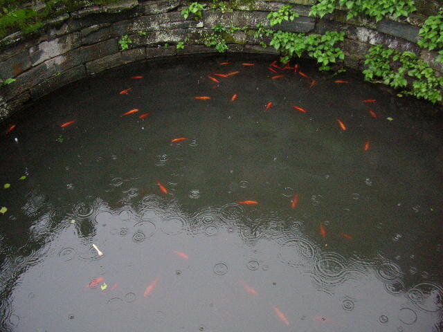 В китайских монастырях есть такие вот "аквариумы". Рыбки ,будучи внутри, не могут понять ни себя, ни то, где они находятся.
