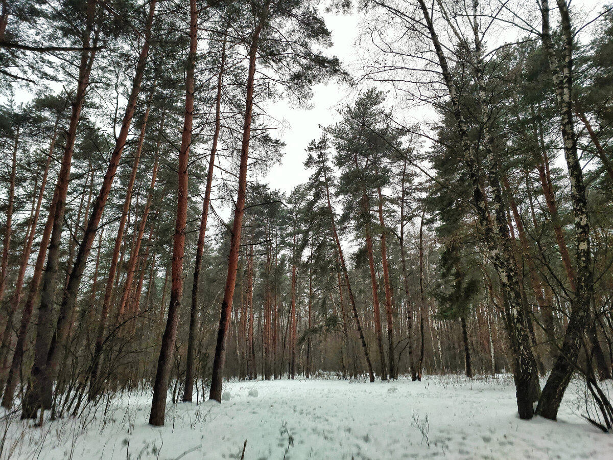 Личное фото