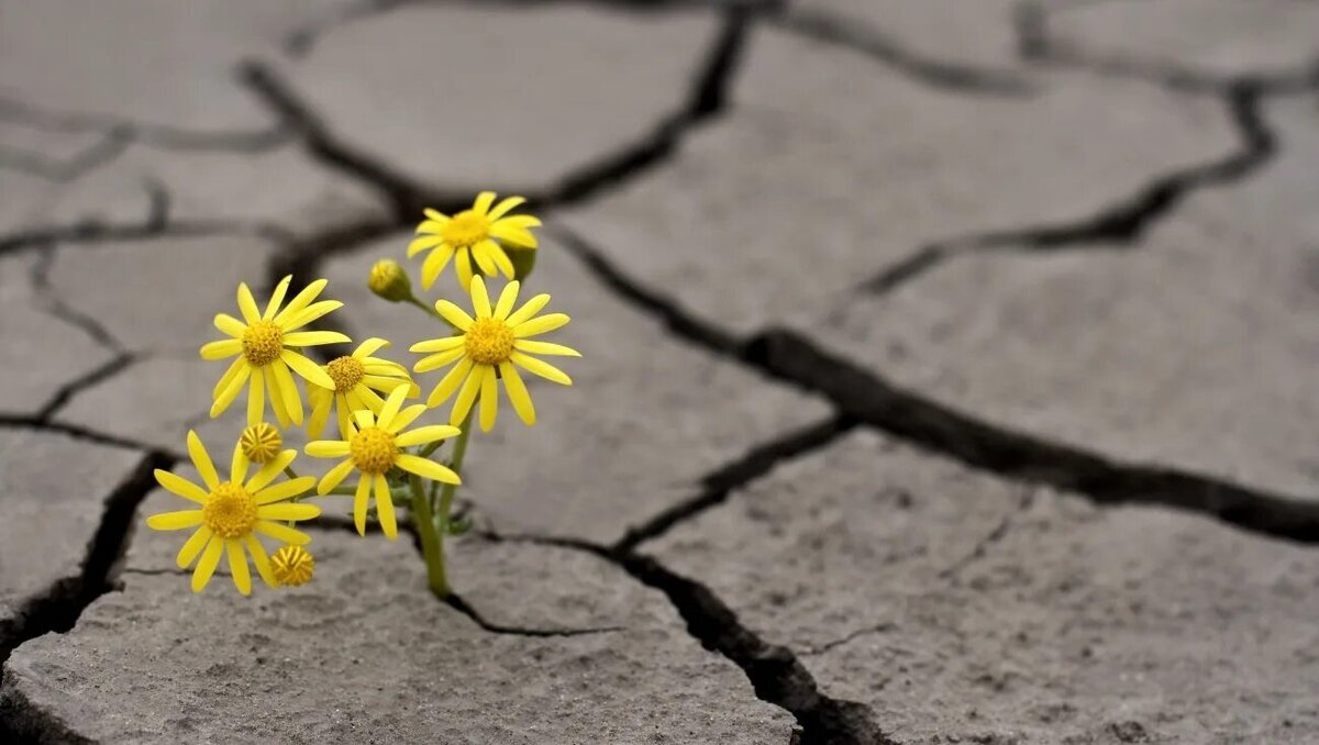 Картинка из интернета.