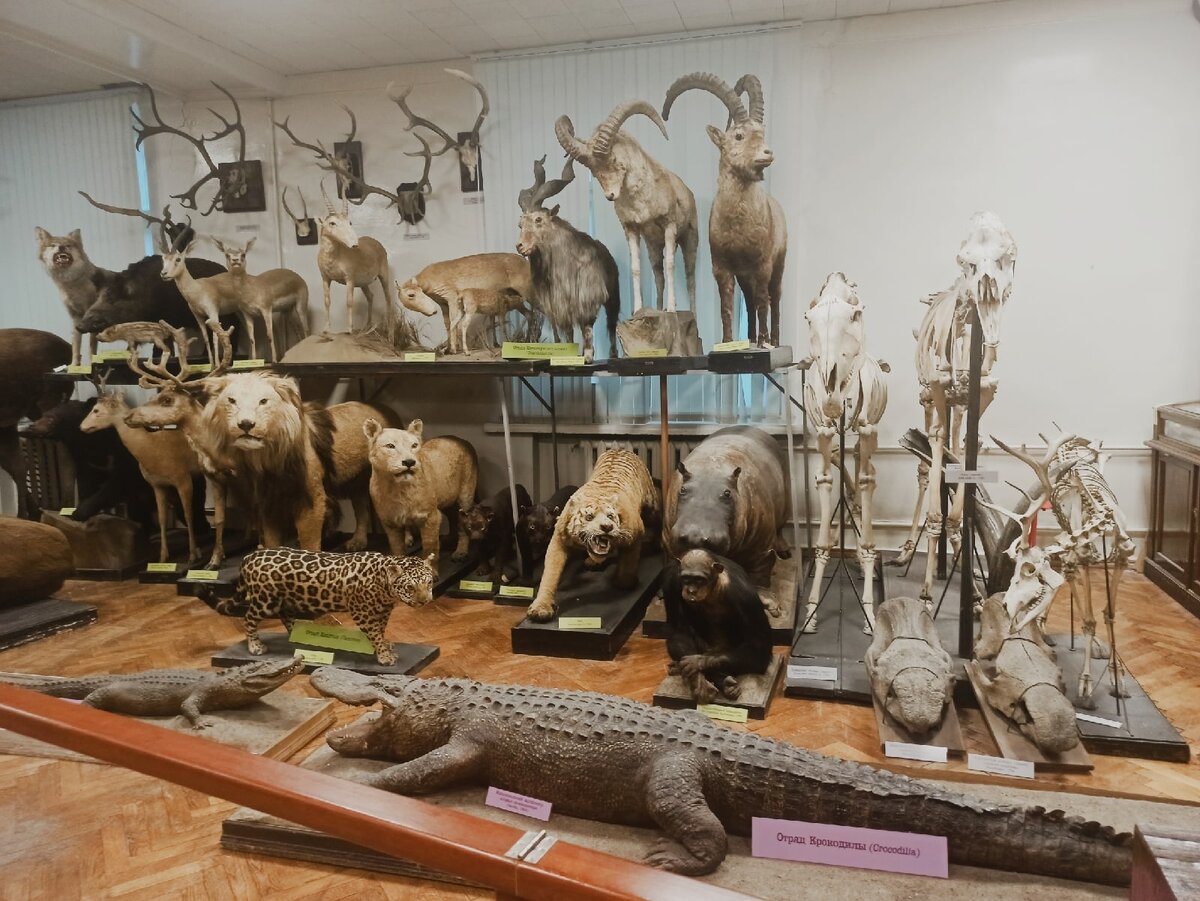 Источник фото: https://vk.com/scientifictravels