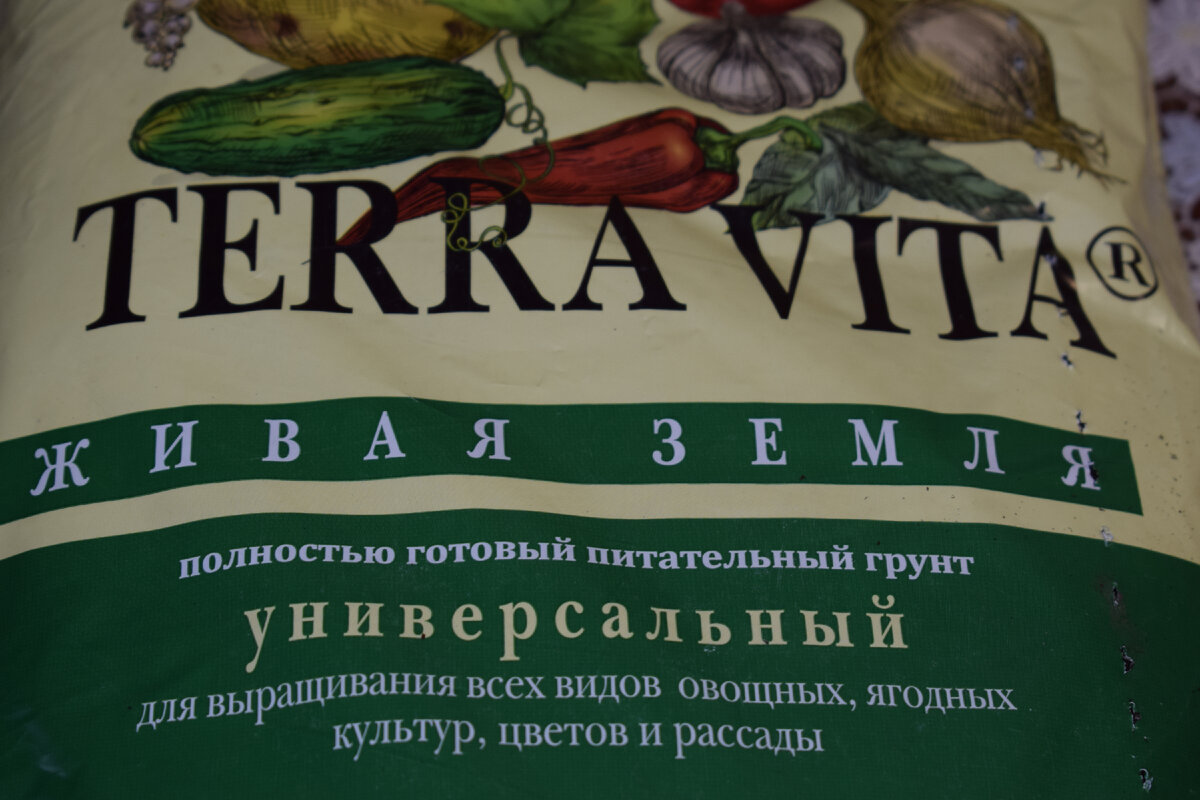 покупной грунт(фото автора0