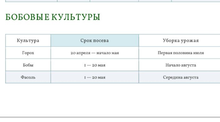 Бобовые культуры  